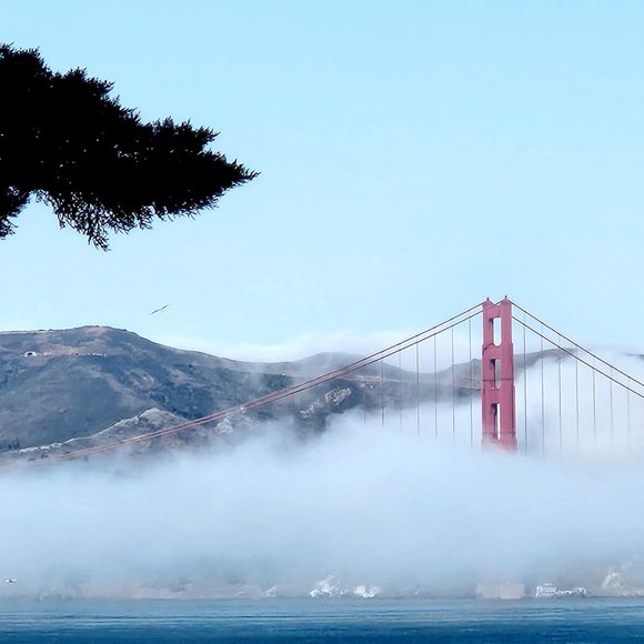 Meet your Posher, Marie - Picture 9 of 10